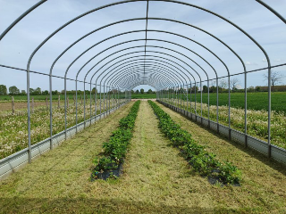 La Fattoria Sociale Paideia apre una nuova sede a Caramagna Piemonte: inclusione, natura e futuro per tutti