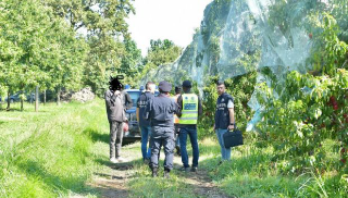 Blitz anti-caporalato: scoperte aziende agricole irregolari nel Cuneese
