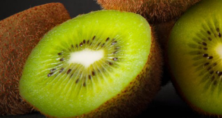Cuneese, caldo torrido mette in ginocchio le coltivazioni di kiwi
