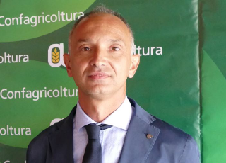 Confagricoltura Cuneo: “Coltivaitalia premia alcuni settori, ma frutta, mais e legno restano esclusi”
