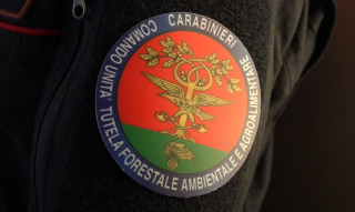 Cuneese – Oltre 700 kg di alimenti sequestrati e 69 mila euro di sanzioni: controlli dei Carabinieri Forestali